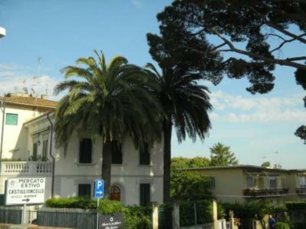 Ghianda Marina Vista Mare Stupenda E 100 Mt Dalla Spiaggia, Accanto Pineta Castiglioncello Exterior foto