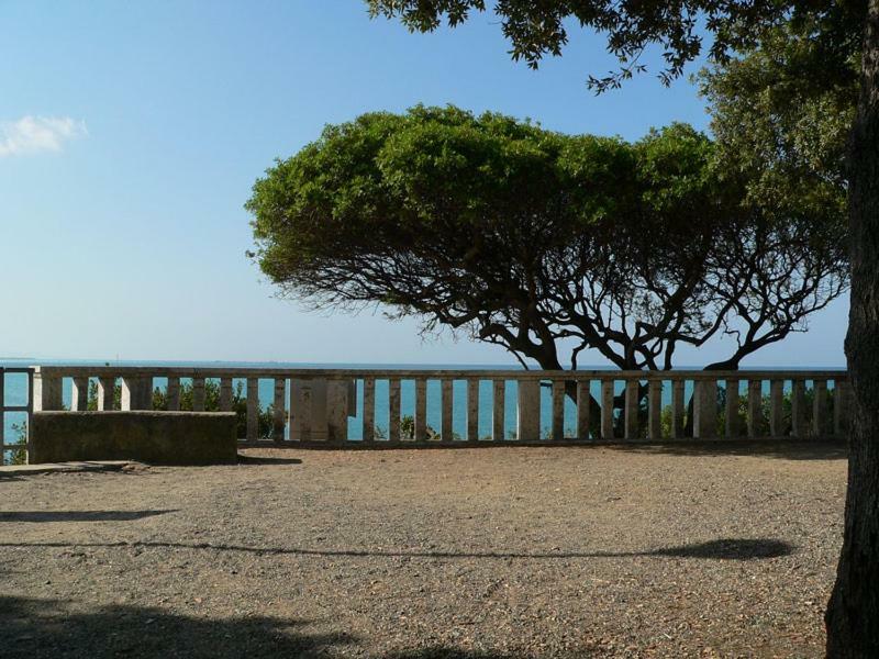 Ghianda Marina Vista Mare Stupenda E 100 Mt Dalla Spiaggia, Accanto Pineta Castiglioncello Exterior foto